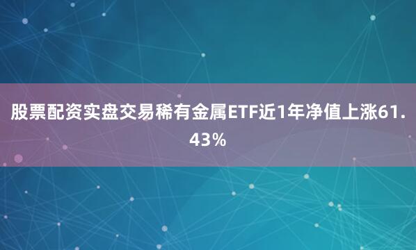 股票配资实盘交易稀有金属ETF近1年净值上涨61.43%